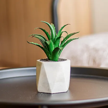 Serdika Loft - Lägenhet *