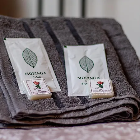 Serdika Loft - Appartement Sofia